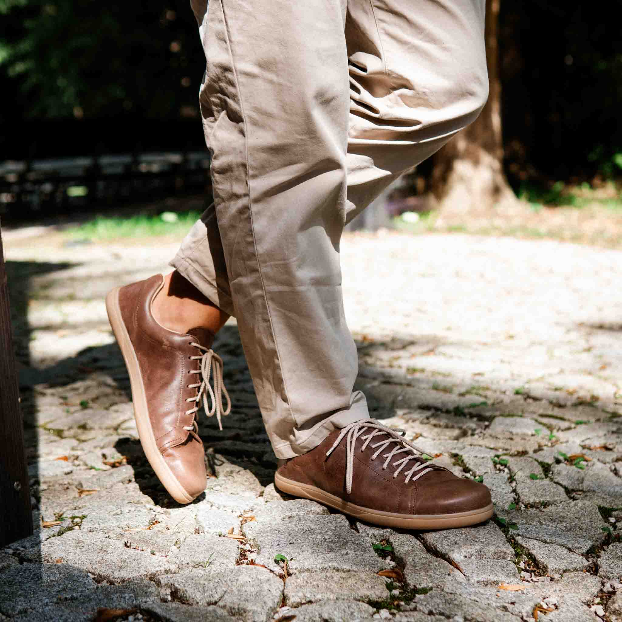 Tommy MAX Chocolate/Gum