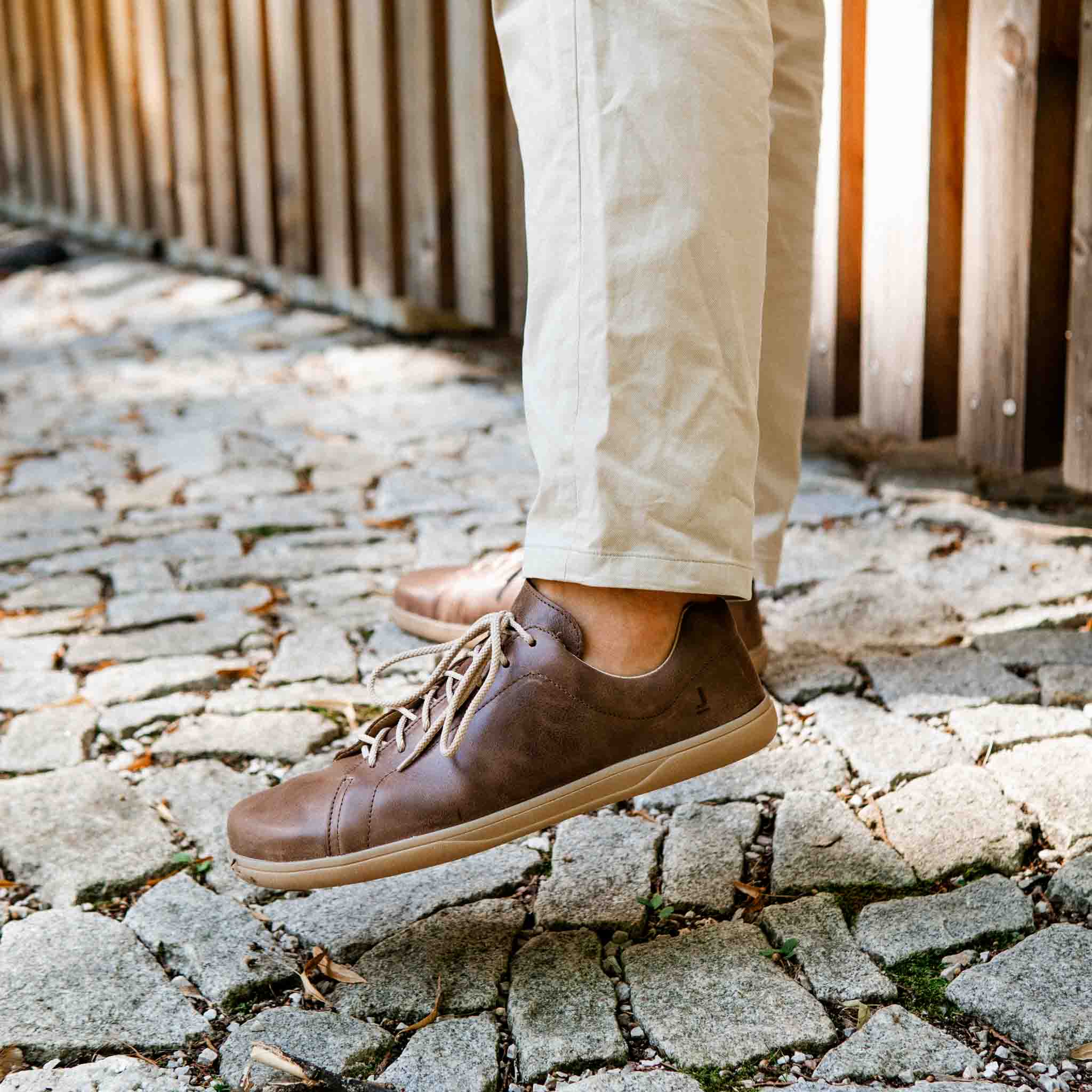 Tommy MAX Chocolate/Gum